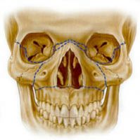 Početak nastave 27.09.2010